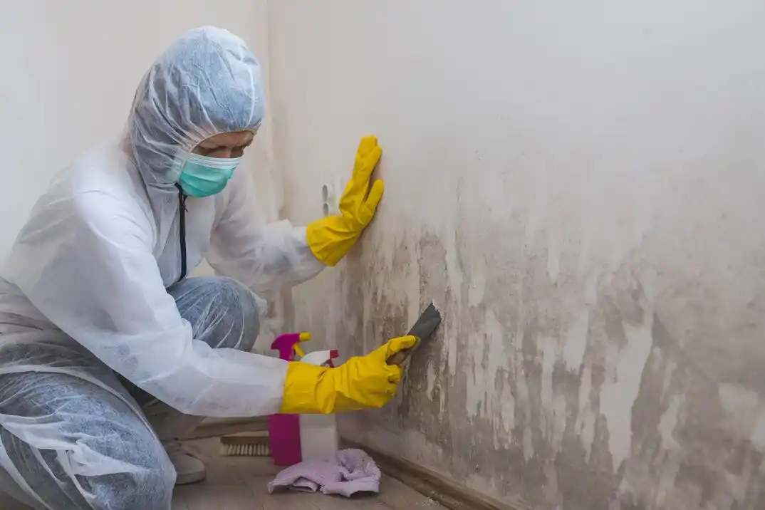water damage restoration service Greenwood Homes